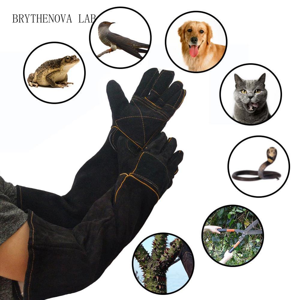 Pet Gloves Bite-resistant Glov - đánh giá và giá Cut Resistant Glove